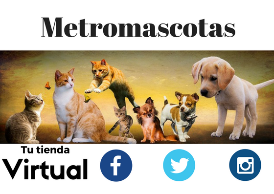 Metromascotas